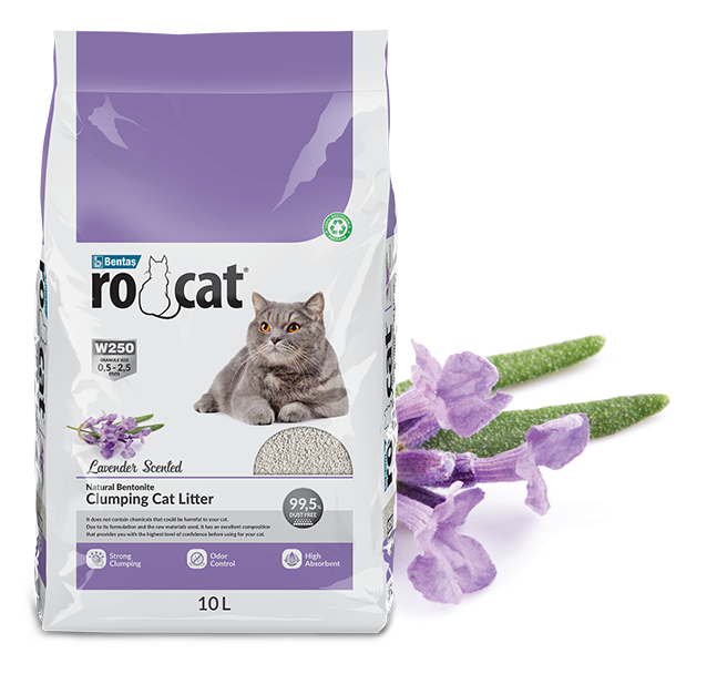 ROCAT Lavanta Kokulu Kedi Kumu 10LT
