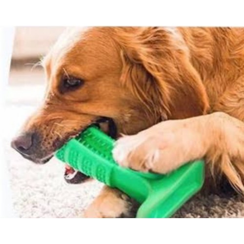 Köpek Diş Fırçası Isırma Aparatı Büyük Boy